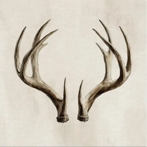 Lot de 6 dessous de verre CERF SILS MARIA
