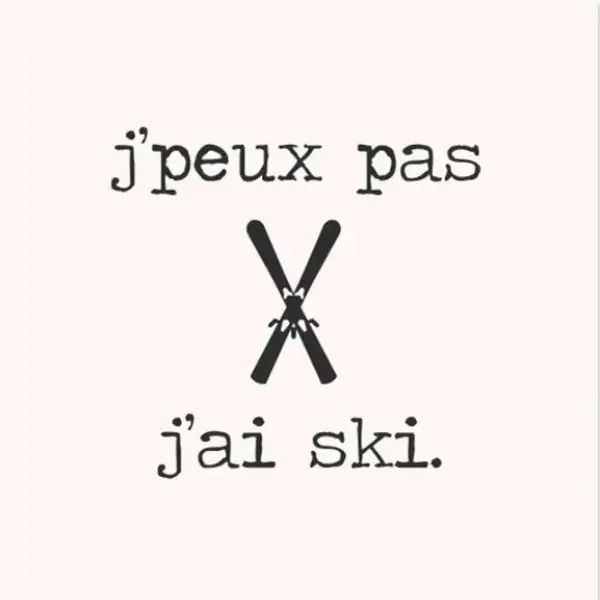 Lot de 6 dessous de verre SKI