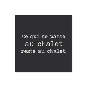 Lot de 6 dessous de verre vinyle Chalet