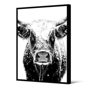 Tableau Simmental