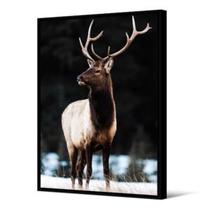 Tableau Cerf Pudu