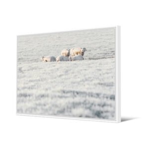 Tableau Burren