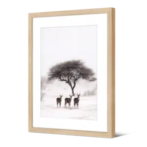 Image encadrée Nathoo