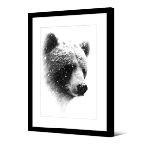 Image encadrée Lippu