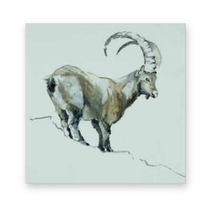 Bouquetin des Alpes<span> – </span>30 × 30 cm, Toile seule