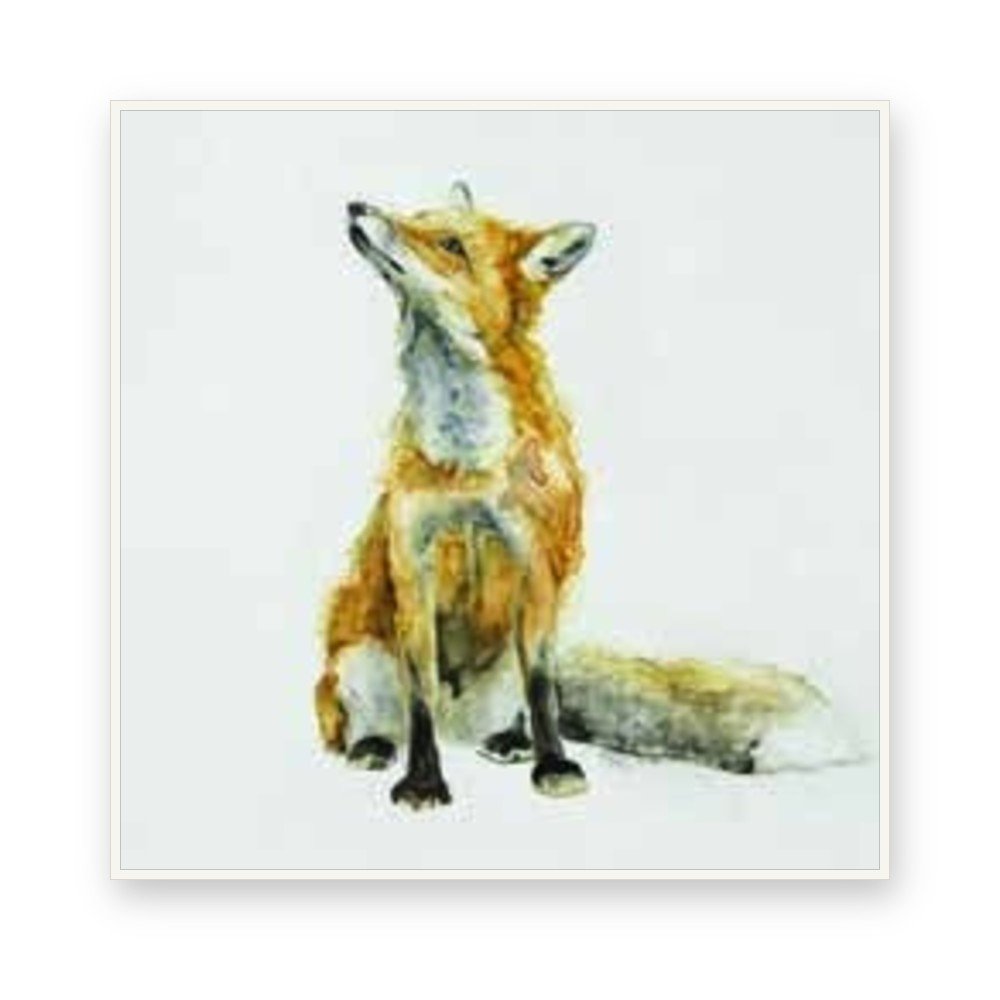 Toile « Renard » en caisse américaine blanche