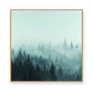 Sapins dans la brume