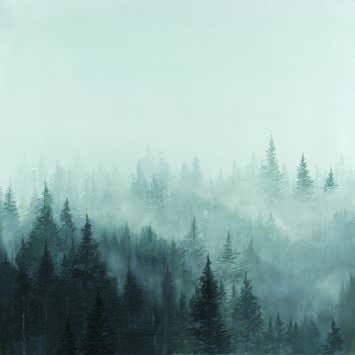 Toile Sapins dans la brume